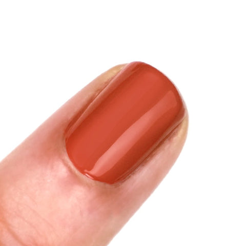 GELFX Plot Twist 6PIX