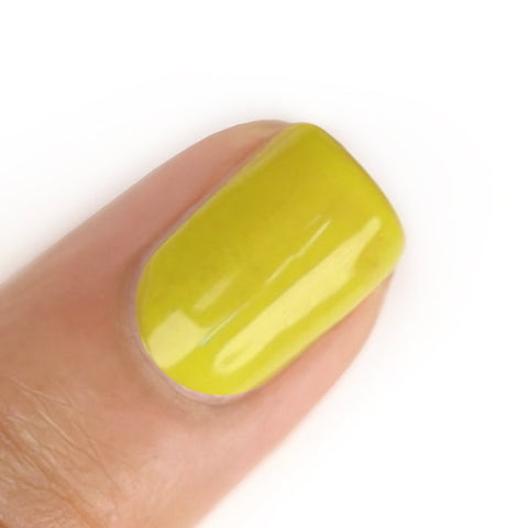 GELFX Great Escape 6PIX