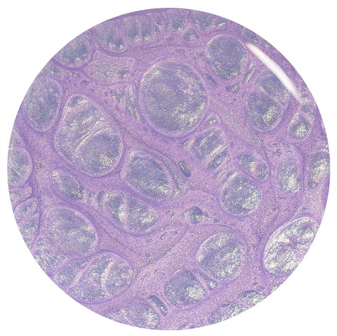 Rollin With My Homies - Gel Nail Color